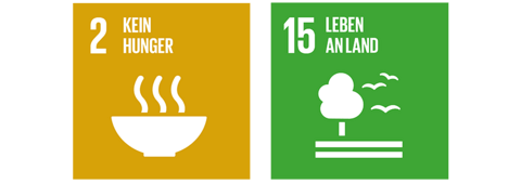 Global Goals Verantwortung Gesellschaft.png