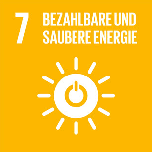 SDG icon DE 07.jpg