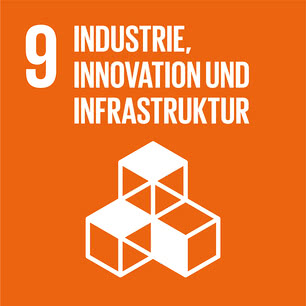 SDG icon DE 09.jpg