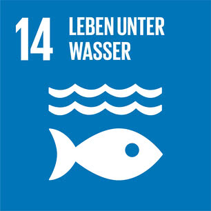 SDG icon DE 14.jpg