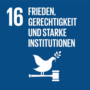 SDG icon DE 16.jpg