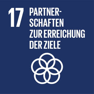 SDG icon DE 17.jpg