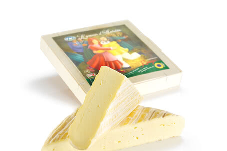 Bio Käse