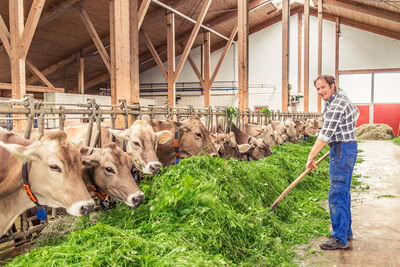 nachhaltigkeits broschuere tierwohl