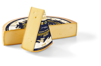 Auf dem Bild ist ein Stück Bio-Käse zu sehen, das in einer runden Form dargestellt ist, wobei ein Stück herausgeschnitten wurde.