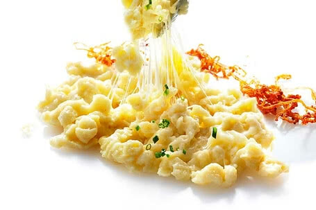 Rezepte mit Bio-Käse